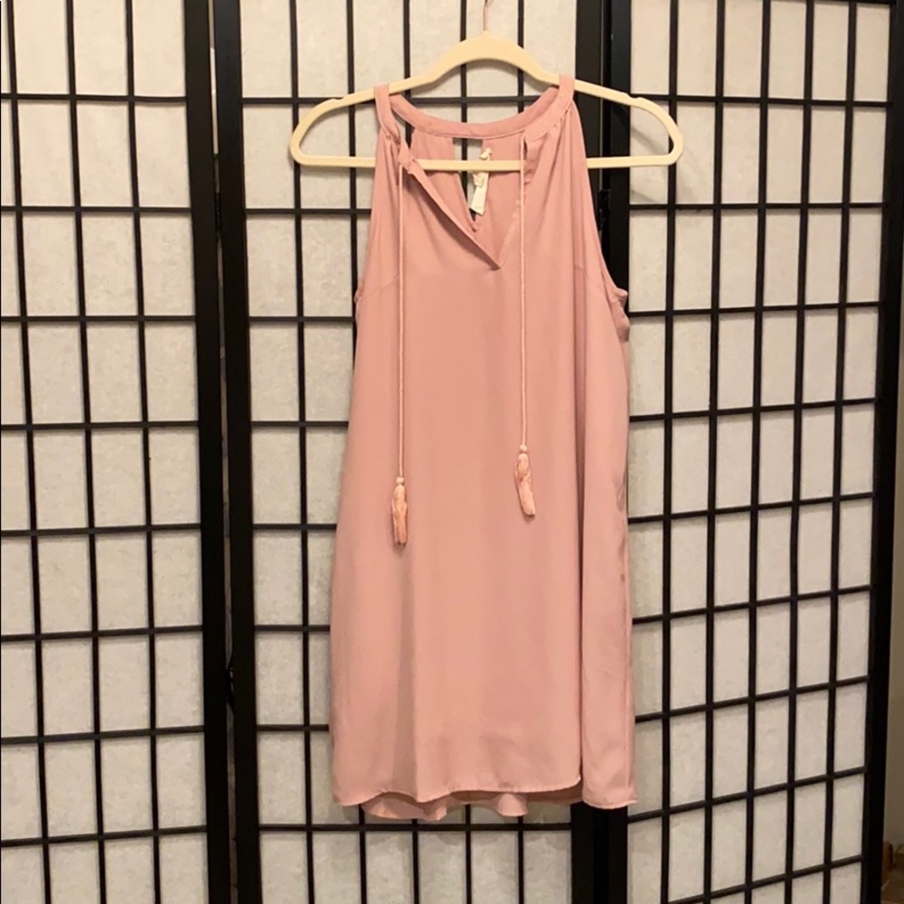 Barely Worn Pink Rose Shift Dress with Tassels